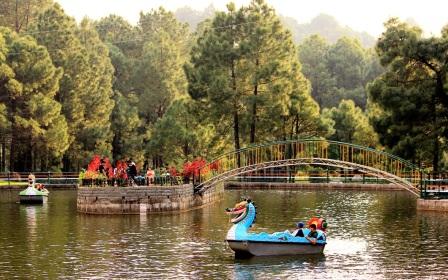 Palampur Tour Packages