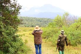 Game Drives Tour Packages