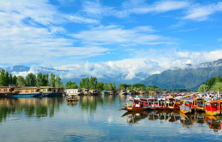 Sightseeing Tour Packages