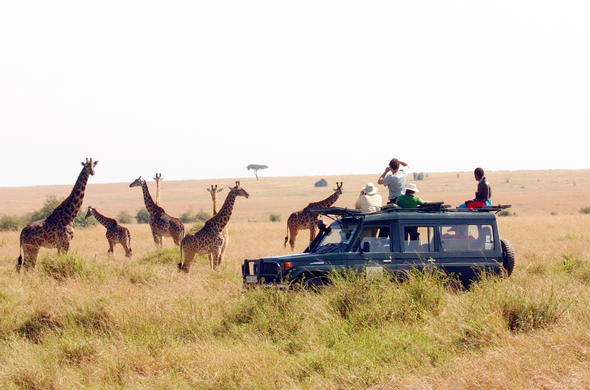 Game Drives Tour Packages