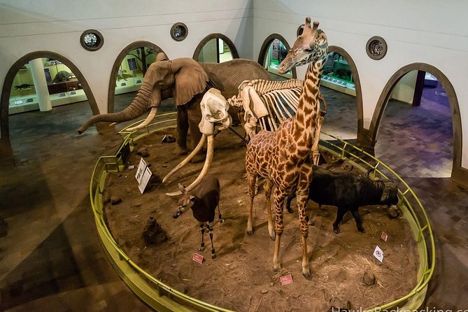 Museums Tour Packages