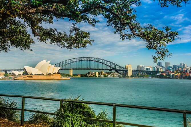 Sightseeing Tour Packages