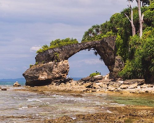 Neil Island Tour Packages