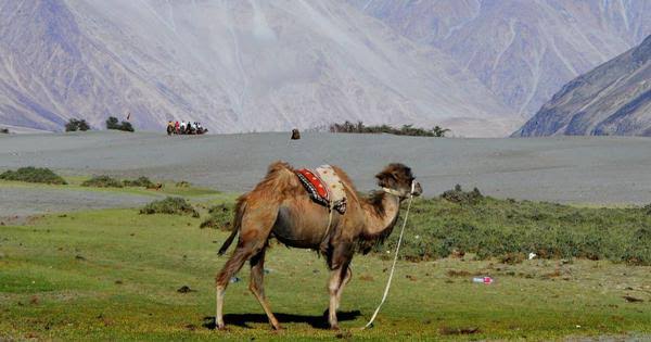 Nubra Tour Packages