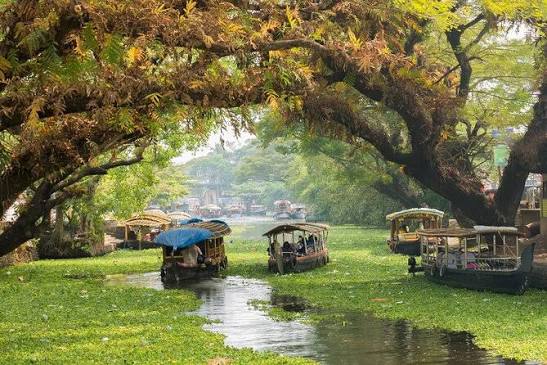 Alleppey Tour Packages