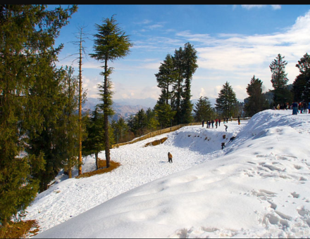 Sightseeing Tour Packages