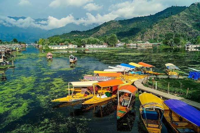 Sightseeing Tour Packages