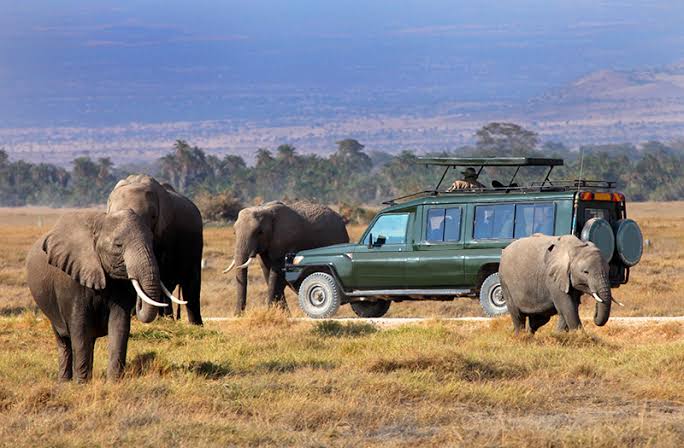 Game Drives Tour Packages