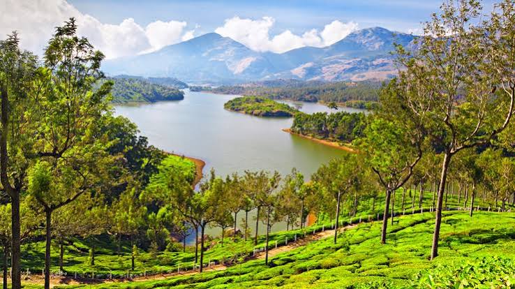 Sightseeing Tour Packages
