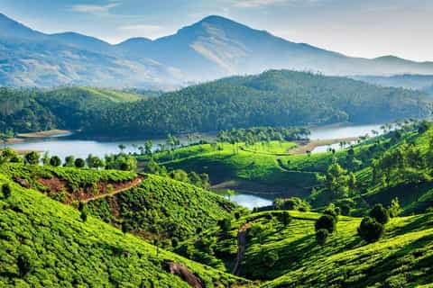 Sightseeing Tour Packages