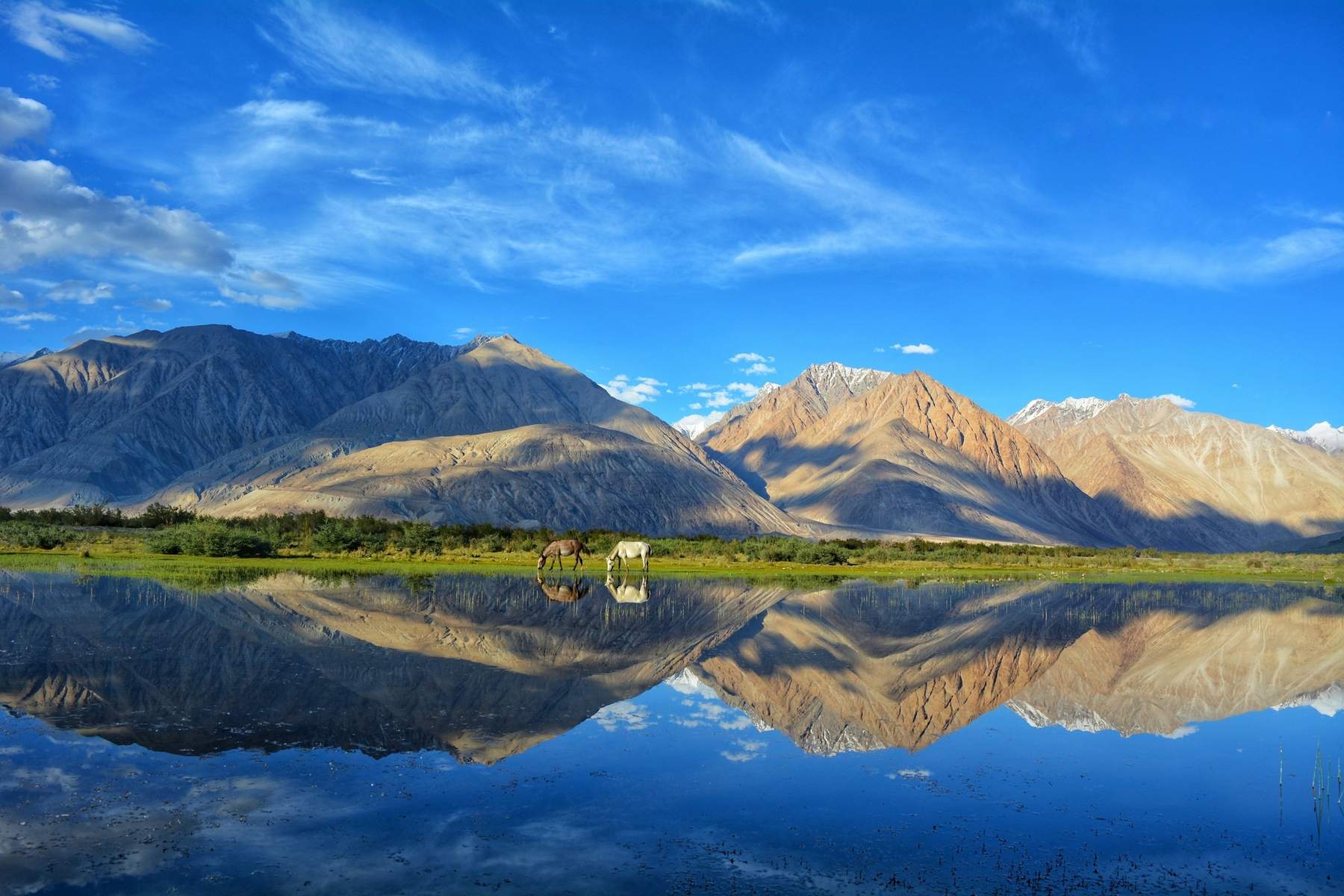 Sightseeing Tour Packages