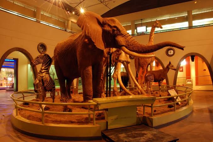 Museums Tour Packages