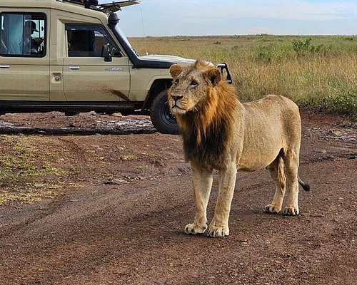Day & Weekend Tours