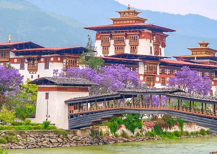 Packages in Punakha