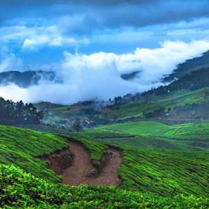 Packages in Munnar