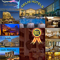 Delhi Hotels