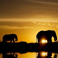 Amboseli National Park