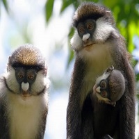 Kibale National Park