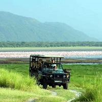 Lake Manyara National Park