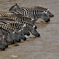 Maasai Mara Game Reserve