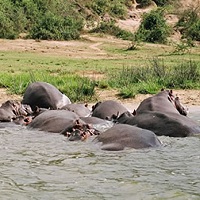 Queen Elizabeth National Park