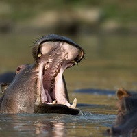 Serengeti National Park