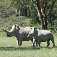 Sweetwaters Game Reserve