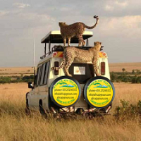 Tanzania Tour Packages