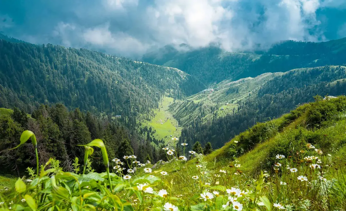 Dalhousie Tour Packages