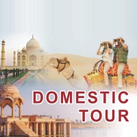 Domestic Tour