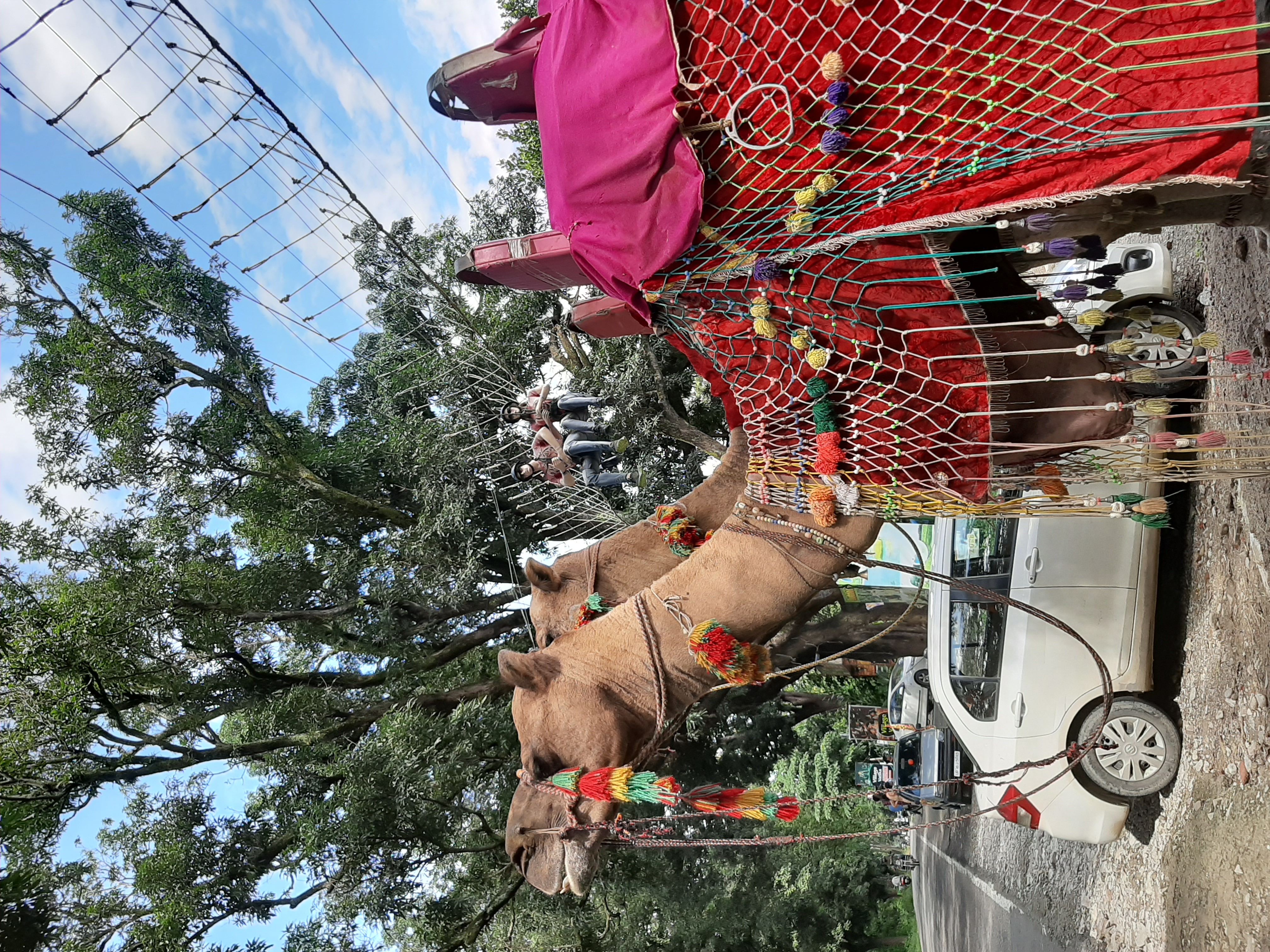 Sightseeing Tour Packages