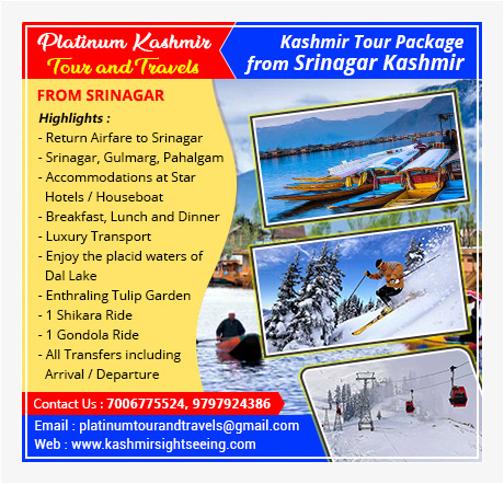 local tour operators in srinagar