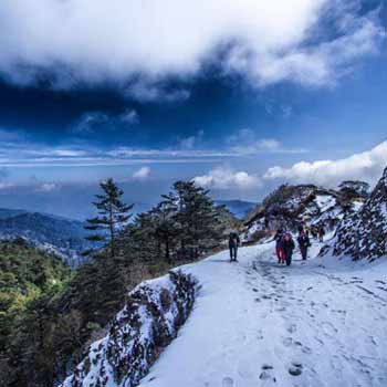 Hill Station Tour