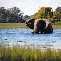 Wildlife and Nature Tour