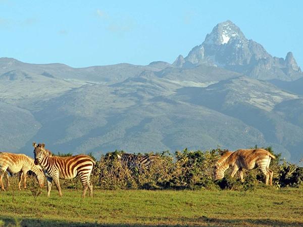 Nanyuki Tour Packages