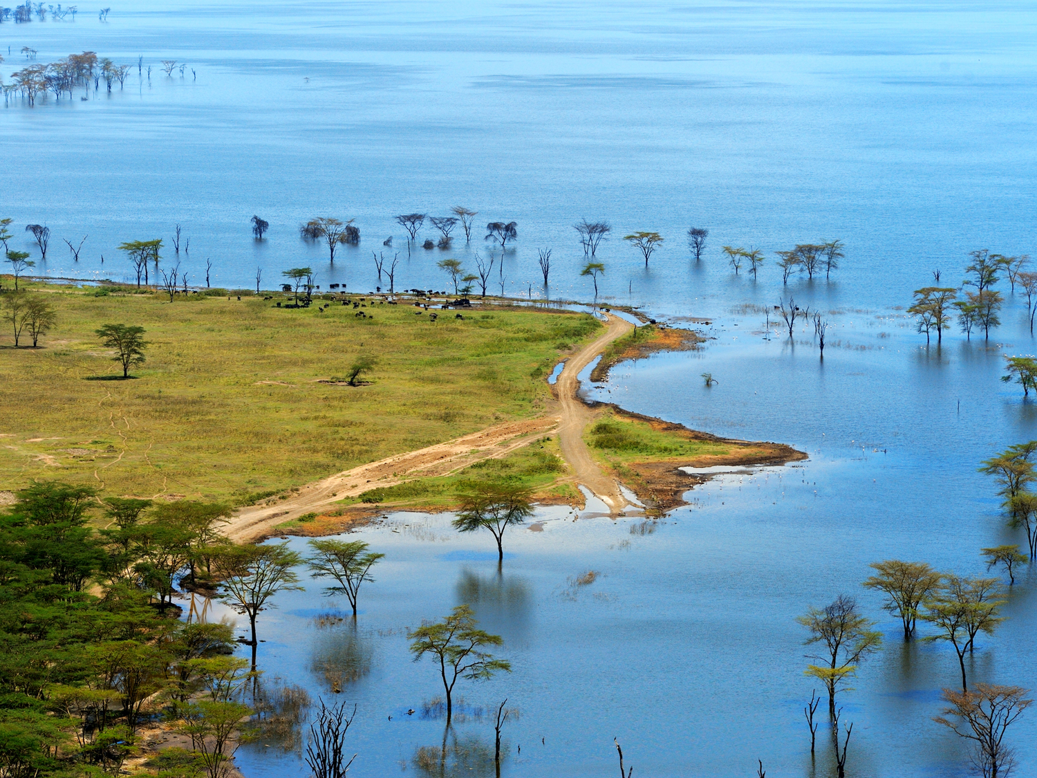 Nakuru Tour Packages