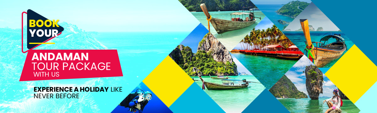 Akshita Tour And Travel Tour Operators In Port Blair Car Coach