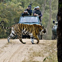 Bandhavgarh National Park