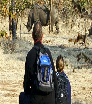 Livingstone Lourie Safari