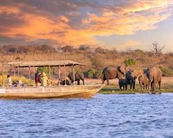 Chobe Tour Packages