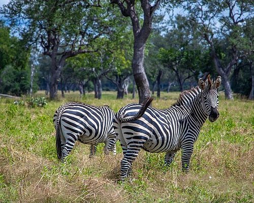 Lusaka Tour Packages