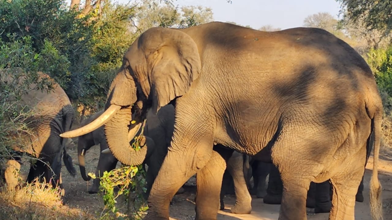 Livingstone Tour Packages