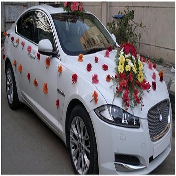 Wedding Car Rental Services in Siliguri