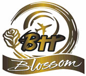 Blossom Tour and Travel