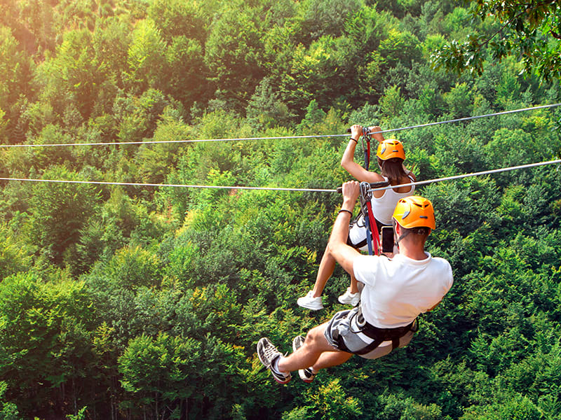 Ziplining Tour Packages