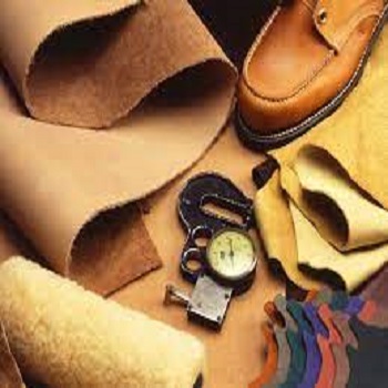 Leather / Leather Goods
