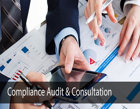 Compliances Audit & Consultation