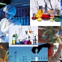 Health Care/Hospital Industry