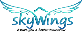 Skywings Advisors Private Limited