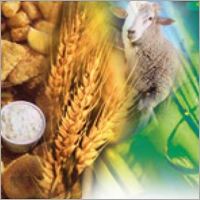 Fertilizer / Pesticides / Agrochemical